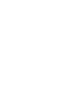 CASE01