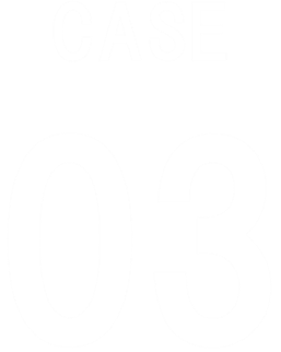 CASE01